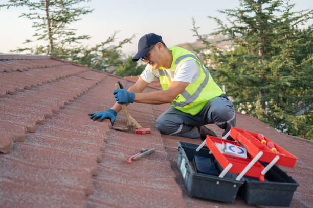 Best Chimney Flashing Repair  in London, CA